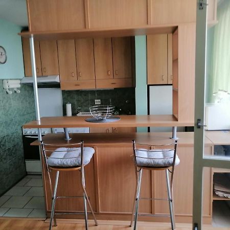 Studio Mojca Apartment Ljubljana Bagian luar foto