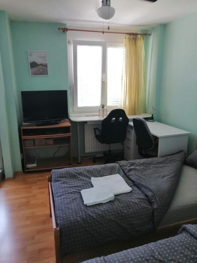 Studio Mojca Apartment Ljubljana Bagian luar foto